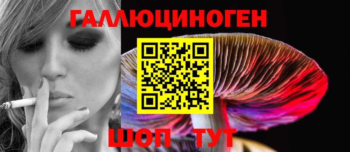 Феодосия  Псилоцибиновые грибы GOLDEN TEACHER  Вход с VPN 